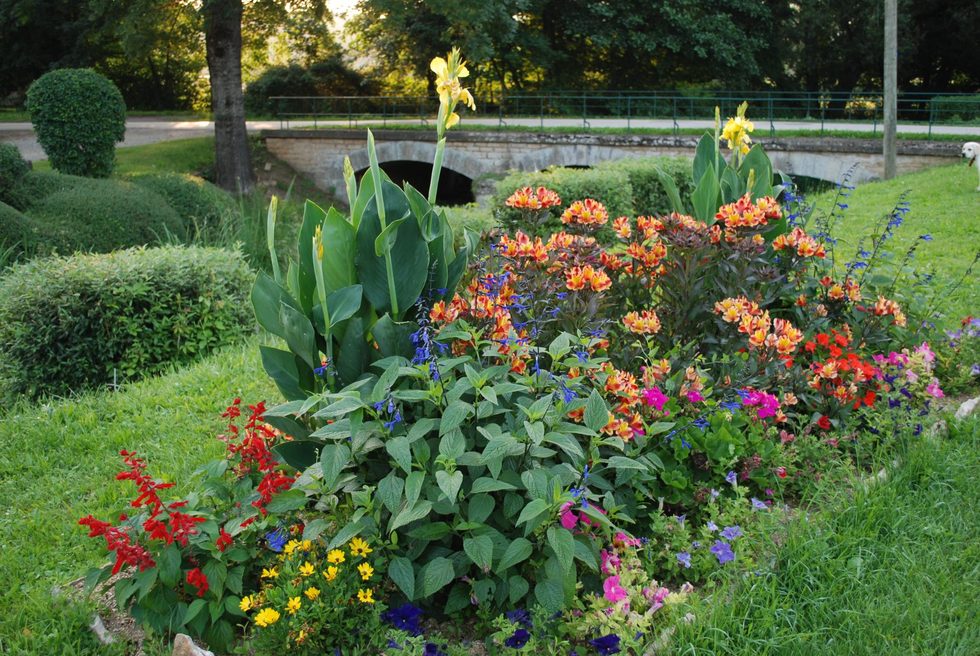 Massif floral