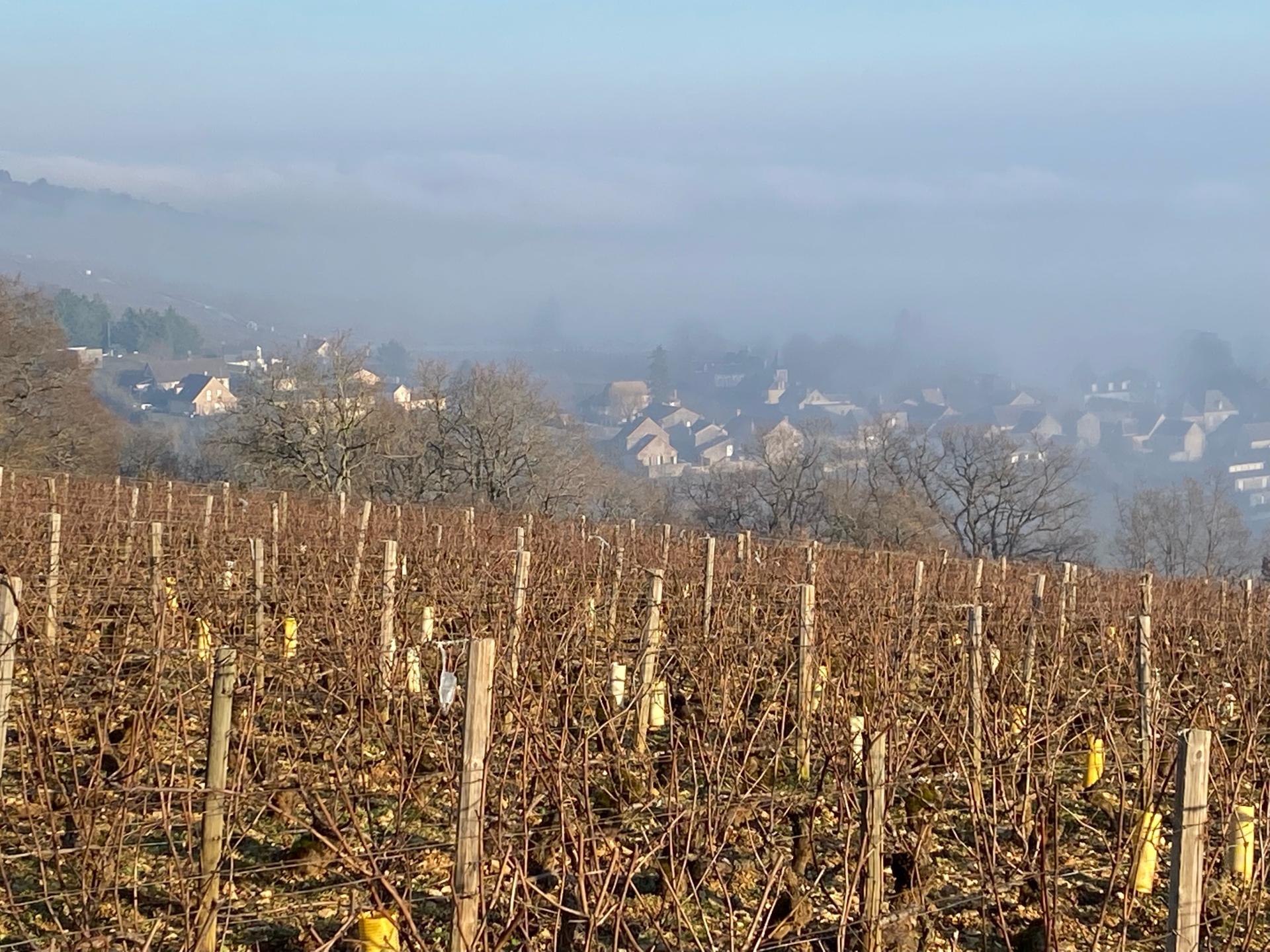 vue sur Cheilly 