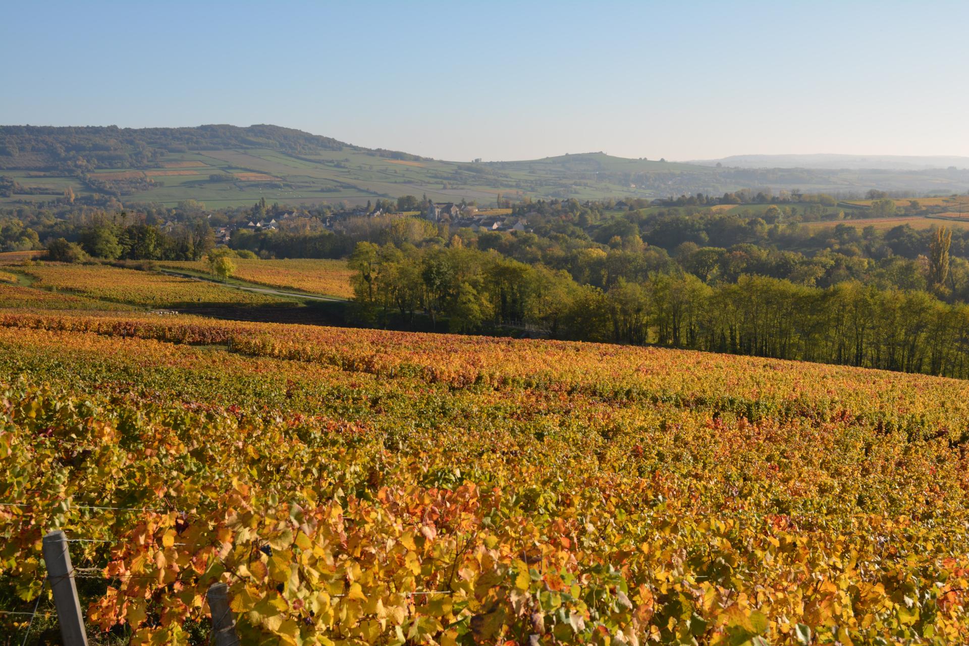 vue d'automne