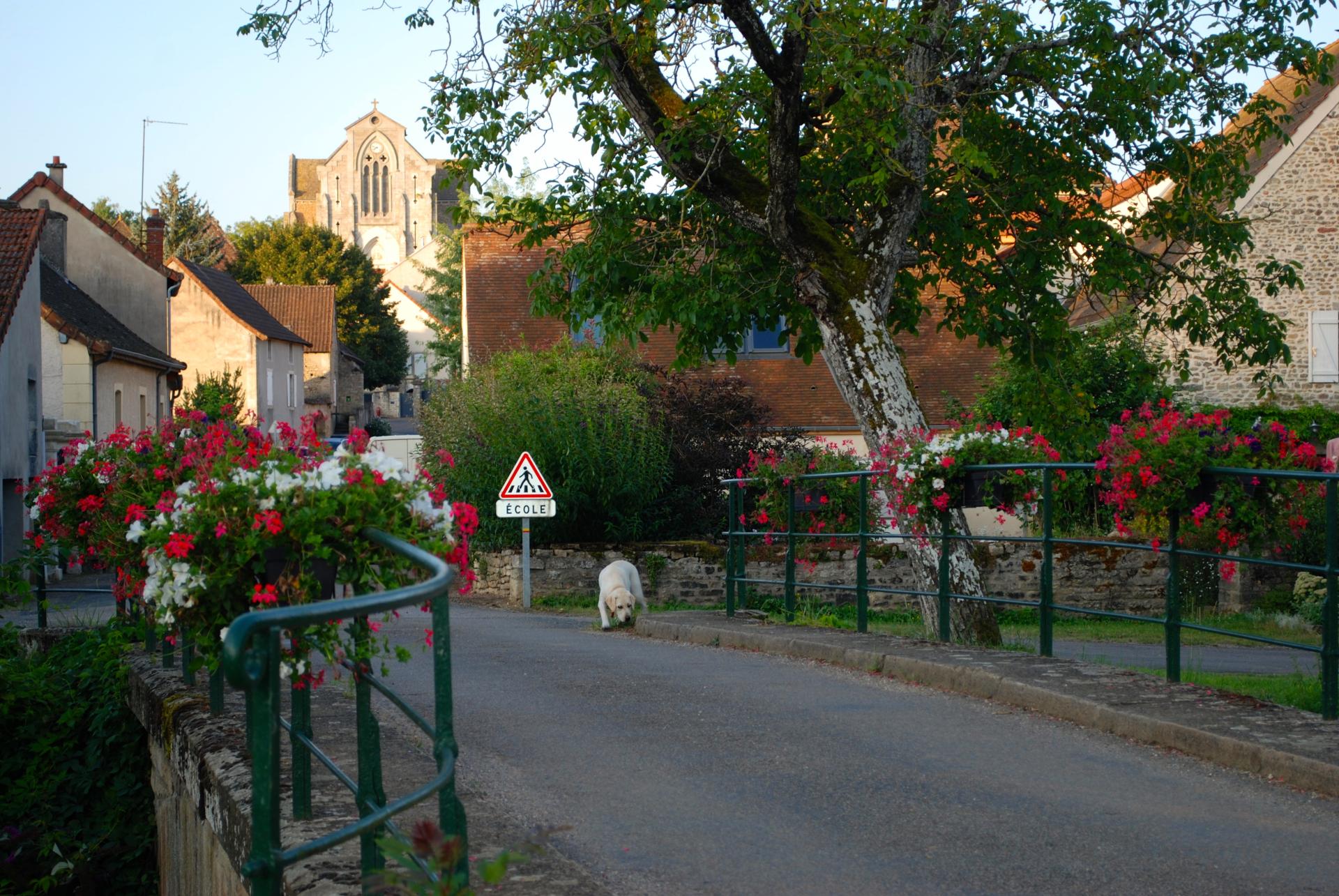 le pont sur la Cozanne 