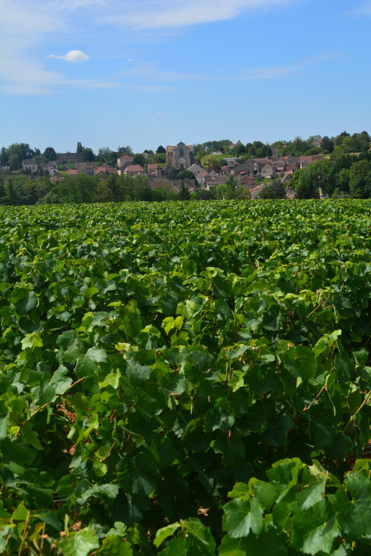 Les coteaux
